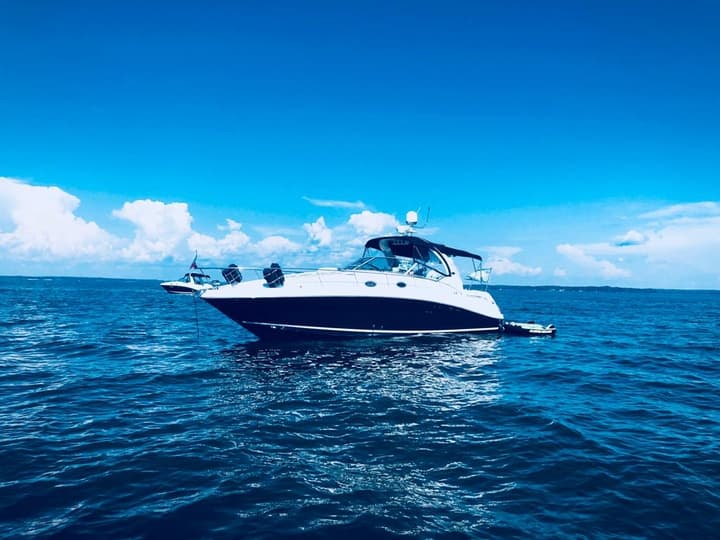 37 Sea Ray luxury charter yacht - Columbia Island Marina, Washington, DC, USA